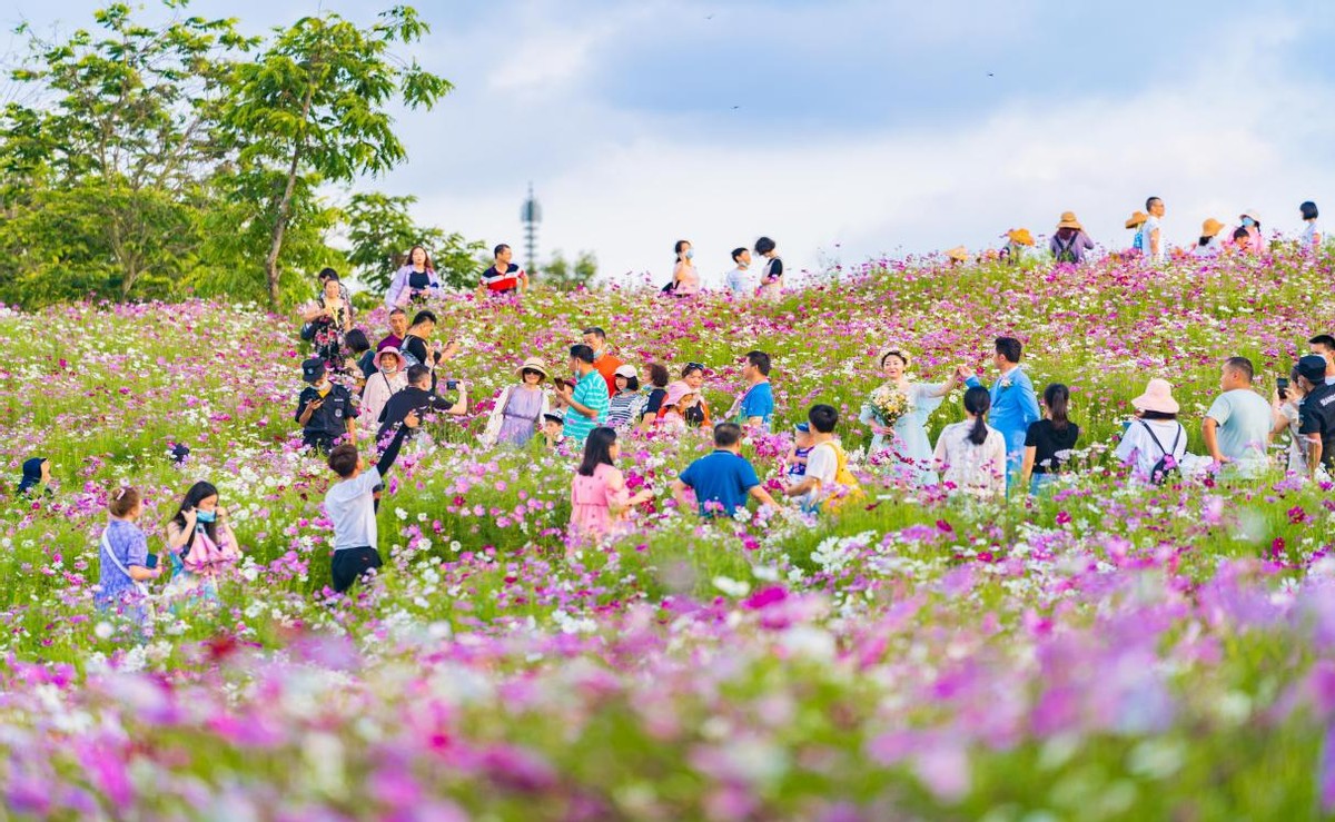 璀璨惊艳海花岛首届迎春花灯节盛大开幕