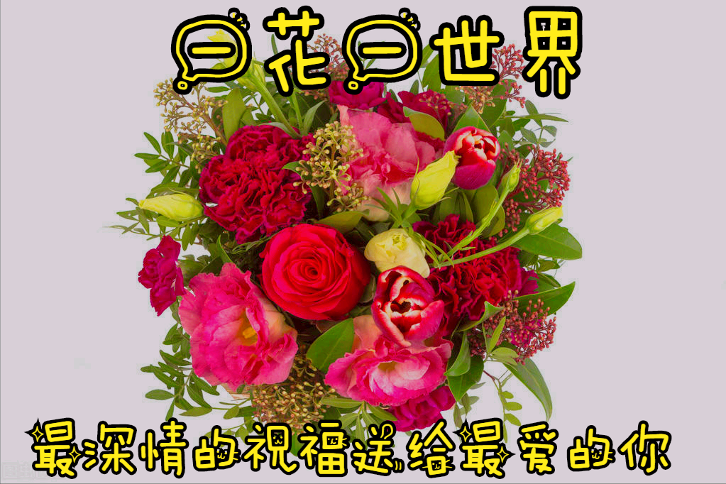 一花一世界，蜗牛背负天地缓缓行