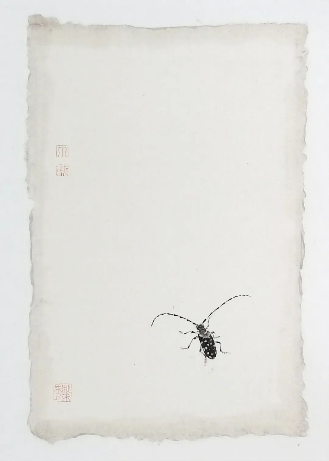 款款翩翩，不疑春深画中