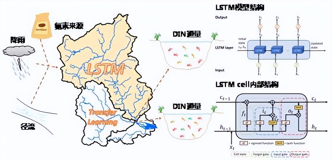 南科大郑一课题组发表人工智能跨区域仿真河流氮通量动态的成果