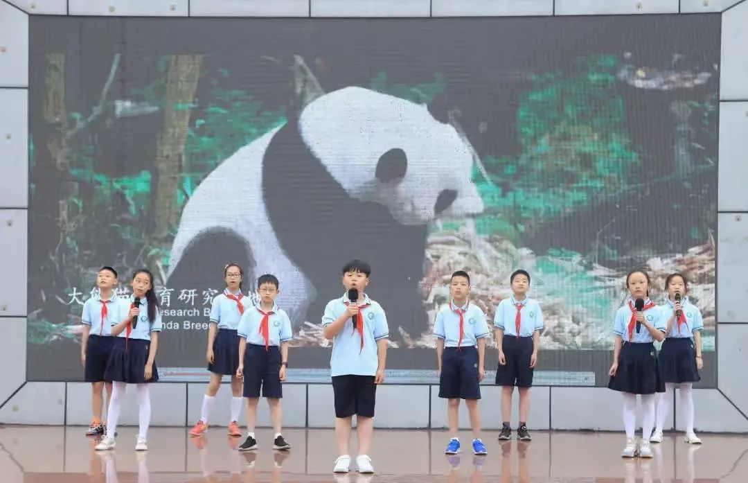 少年强则国强，5.4中队正铿锵｜走进天府新区南湖小学优秀中队