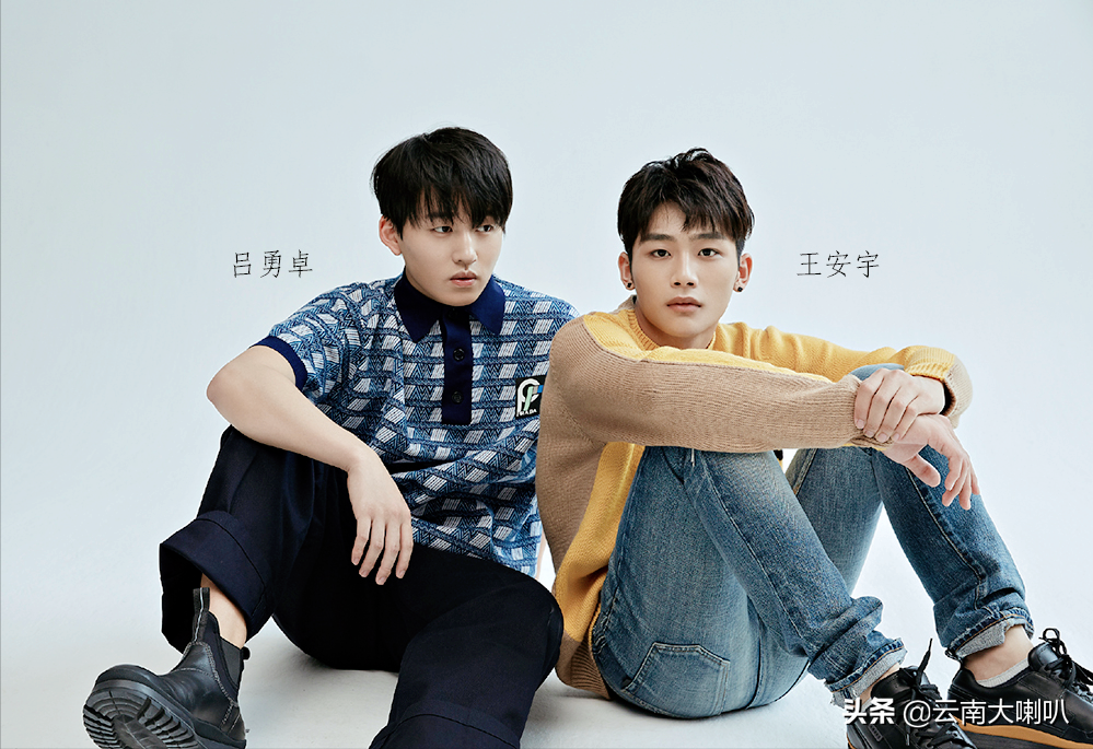 19岁签约杨天真公司，平时喜欢秀书法，王安宇如今成宝藏男孩