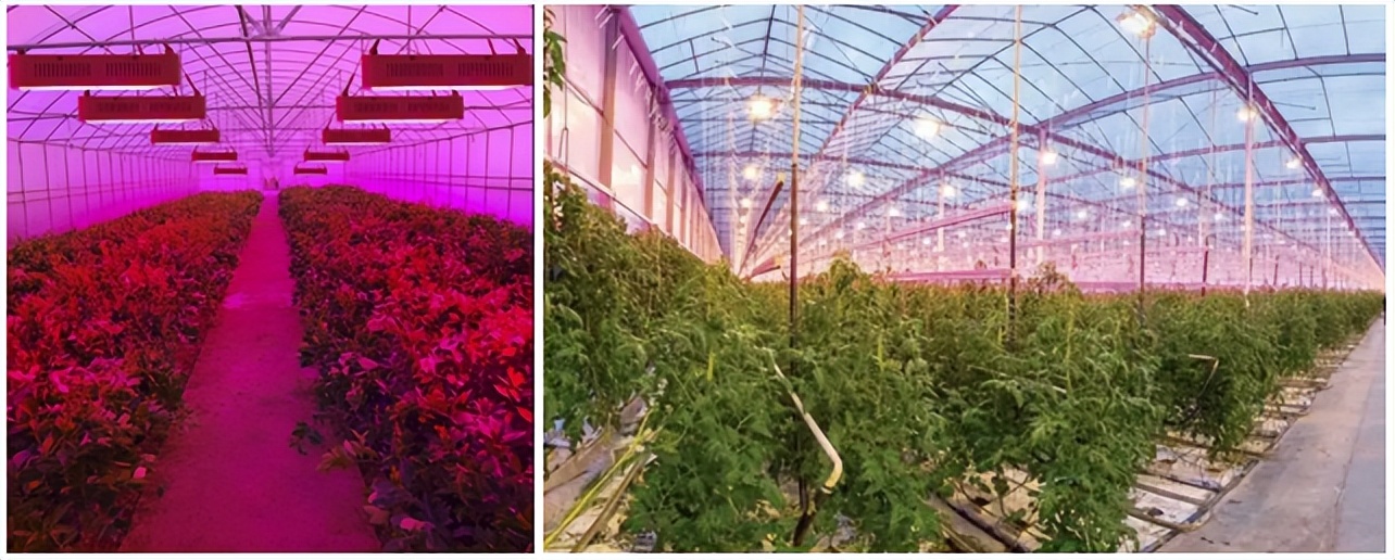 与万喜红对话：天电光电，开创LED照明科技新视界