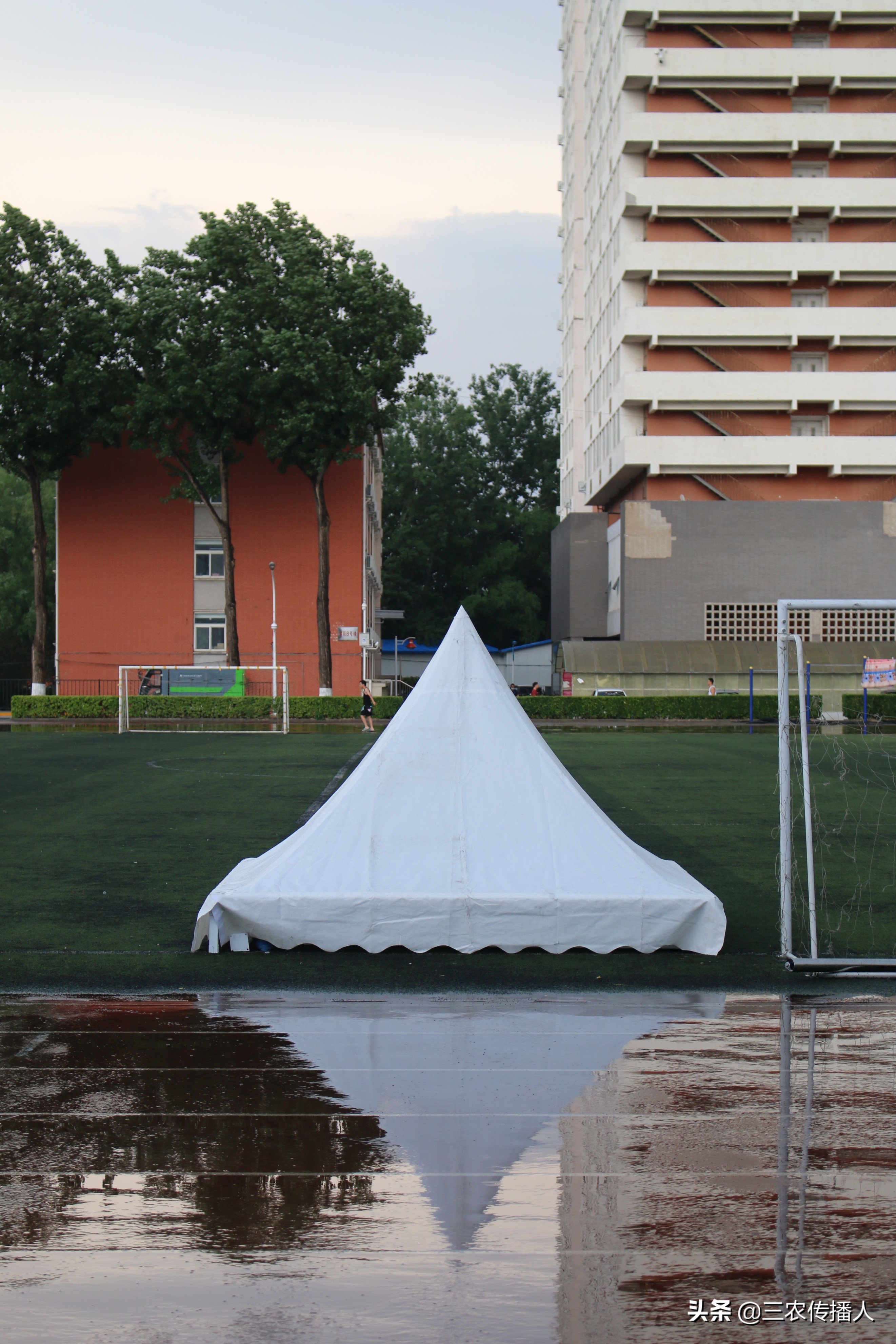 高考将至 | 用照片带你领略中国农业大学~ 是你向往的大学吗？