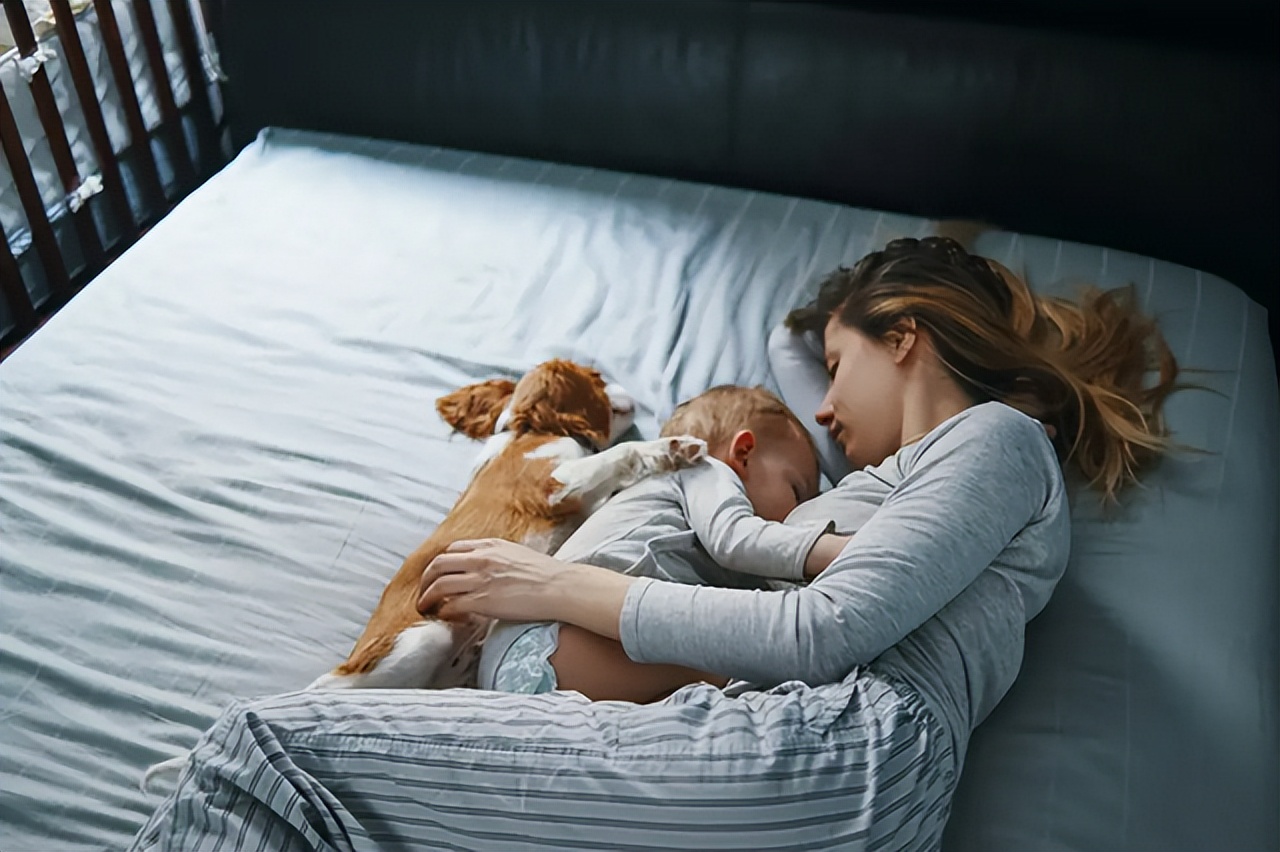 婴儿睡眠周期(宝宝) - 乐宝宝贝