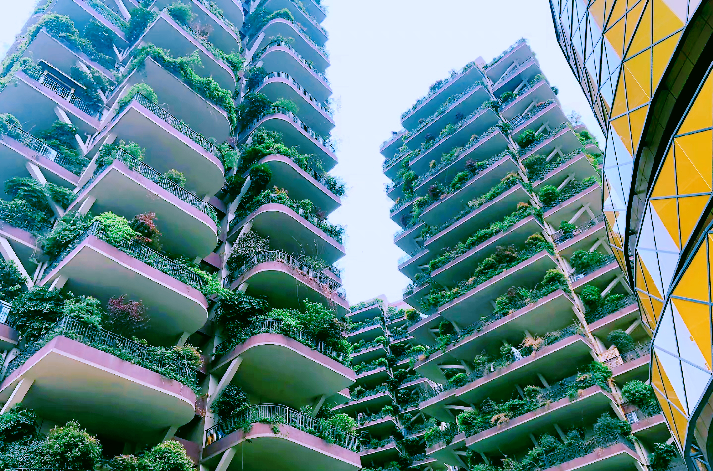 成都“第四代住宅”，每家每户都有“空中花园”，但缺点也很明显