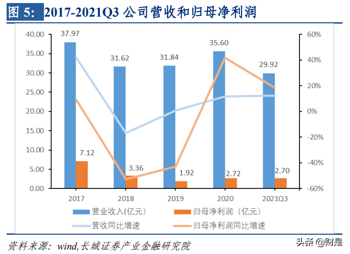 中药行业之九芝堂研究报告