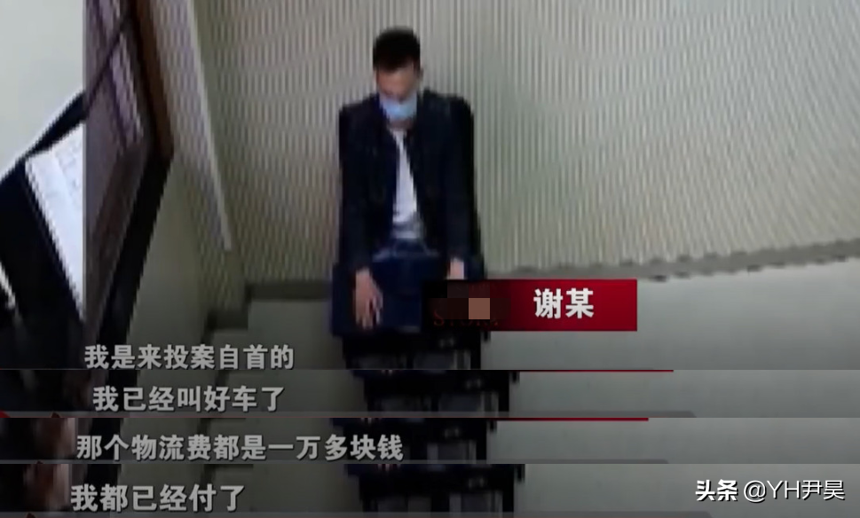2020年两男子为了偷车，跑到汽车抵押公司卧底，结果闹出一堆笑话
