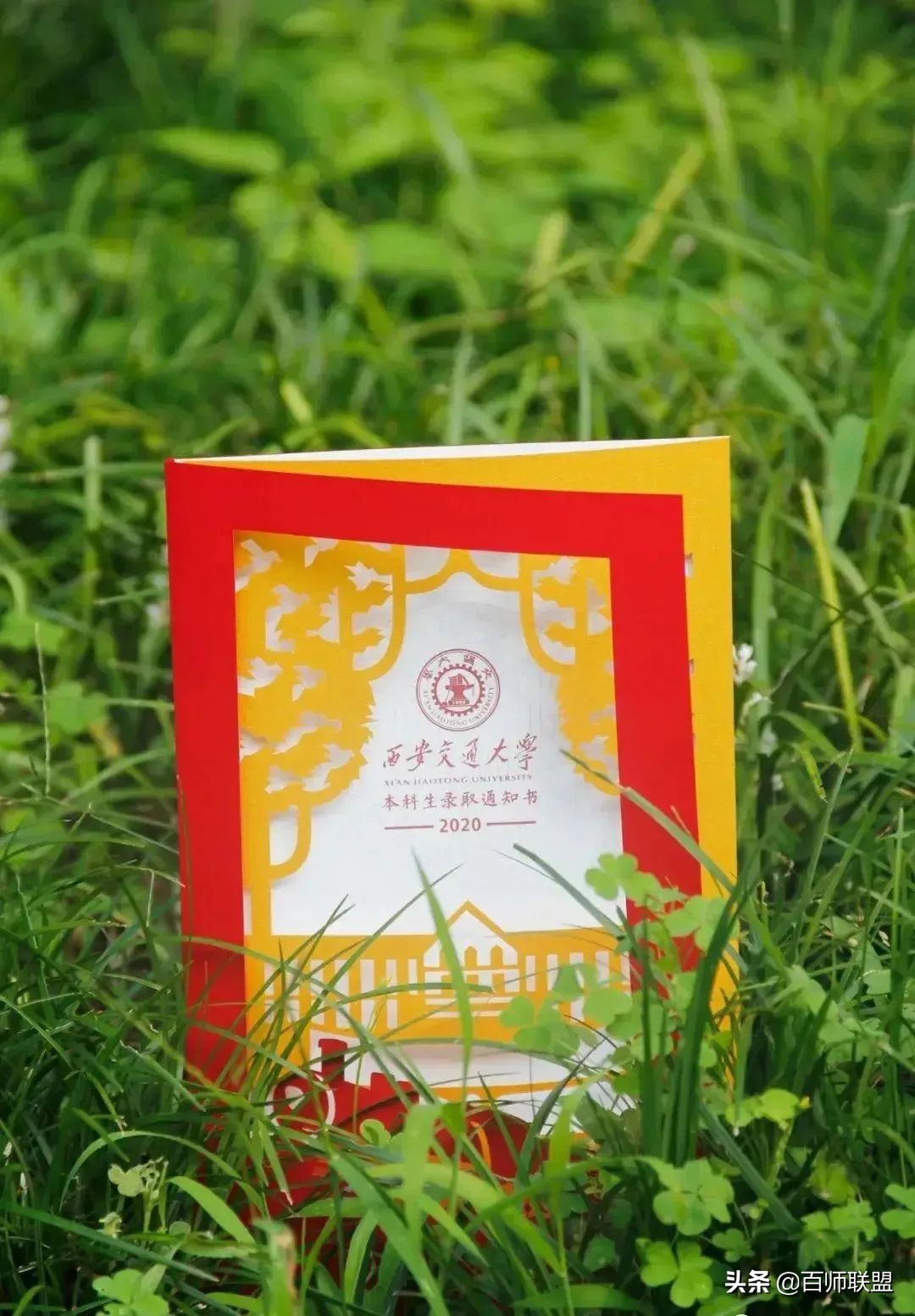 高考倒计时！看看这些大学录取通知书，比任何鸡汤都管用