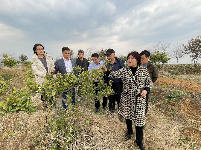 科技引领 接力续航 把光山荒山变成金山银山