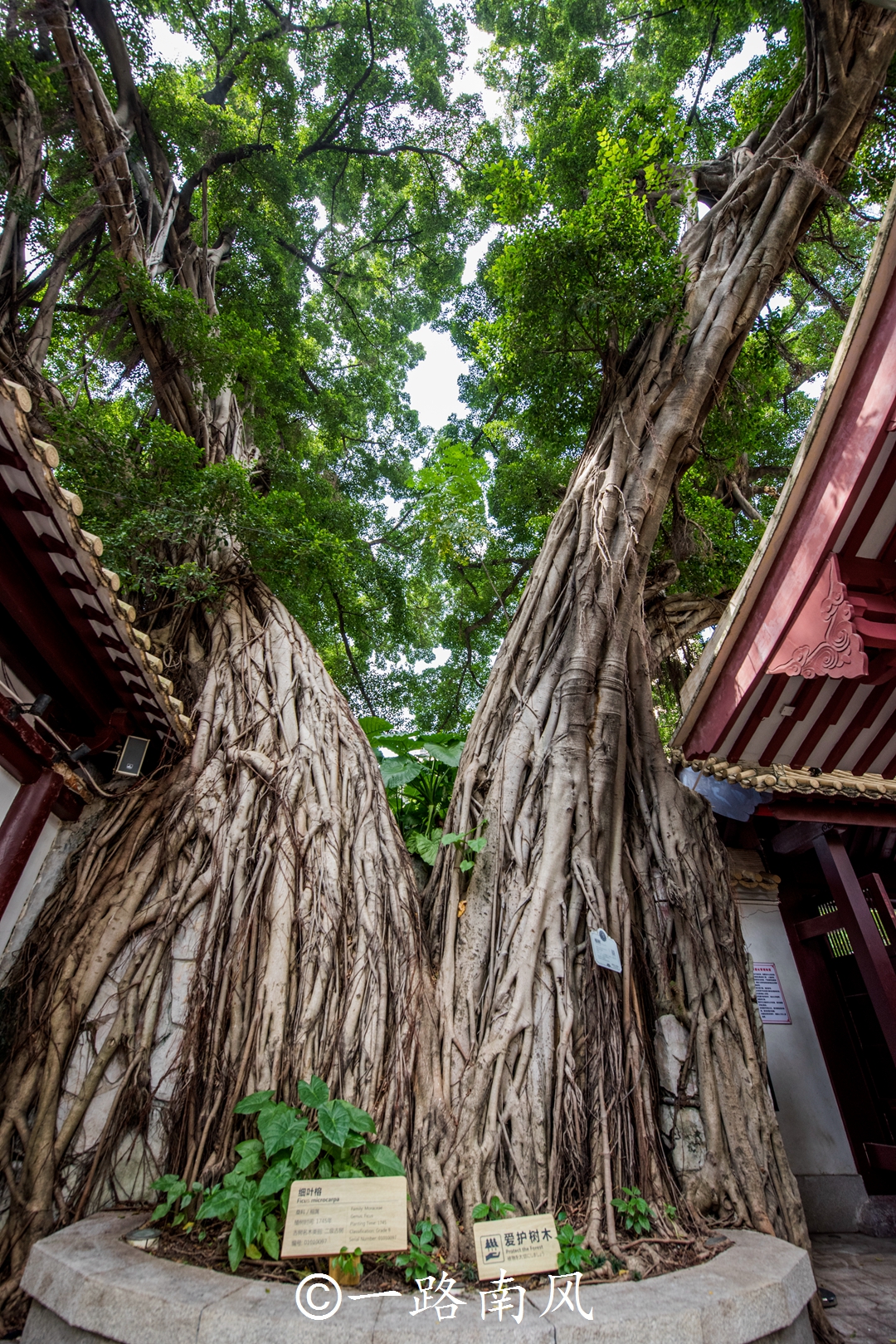 广州有个已经消失的“西湖”，遗址就在越秀区闹市，知道的人很少