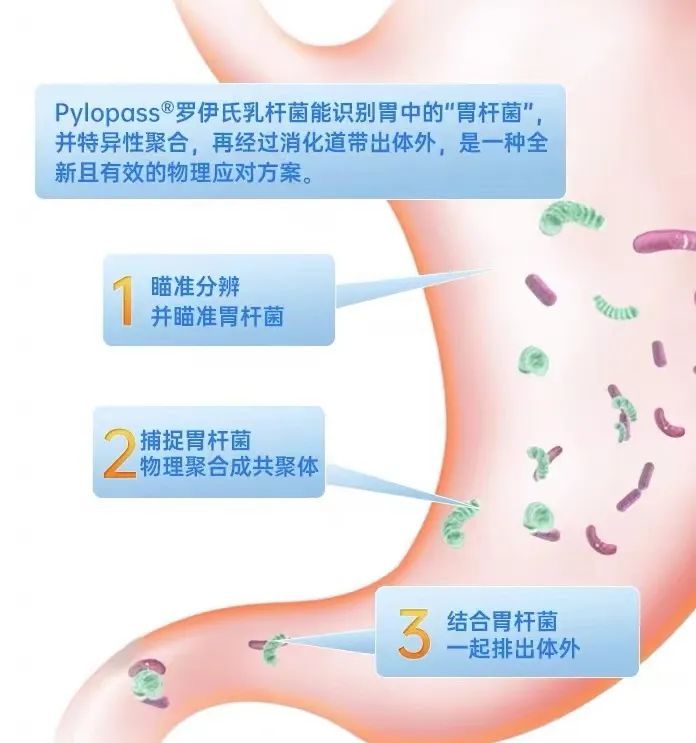 年销售额暴增100%，热爱养生的年轻人，撬动了千亿蓝海赛道