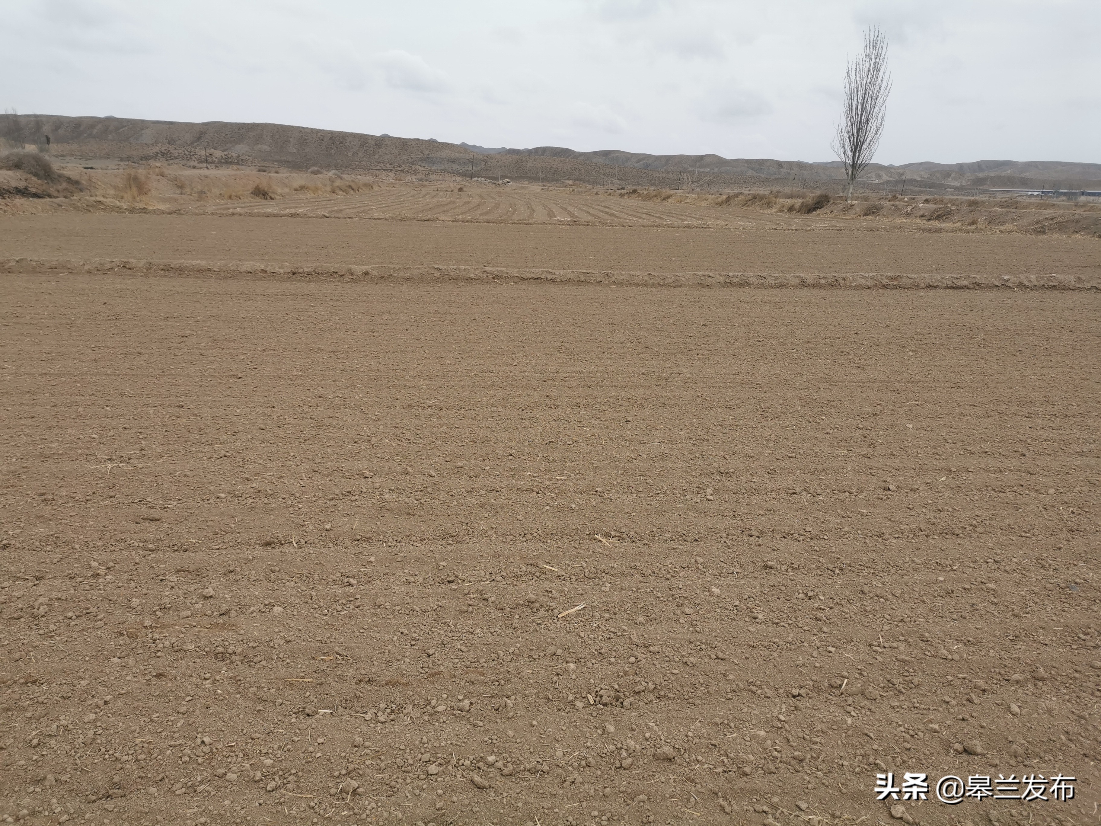 �������̻ĵر����� ����������ϣ��