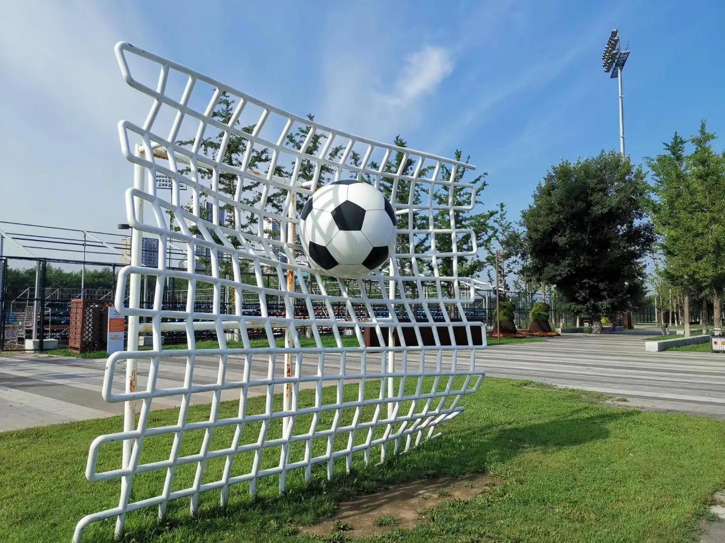 足球雕塑沈阳和平杯世界环足球公园主广场足球公园植物资源丰富,种类