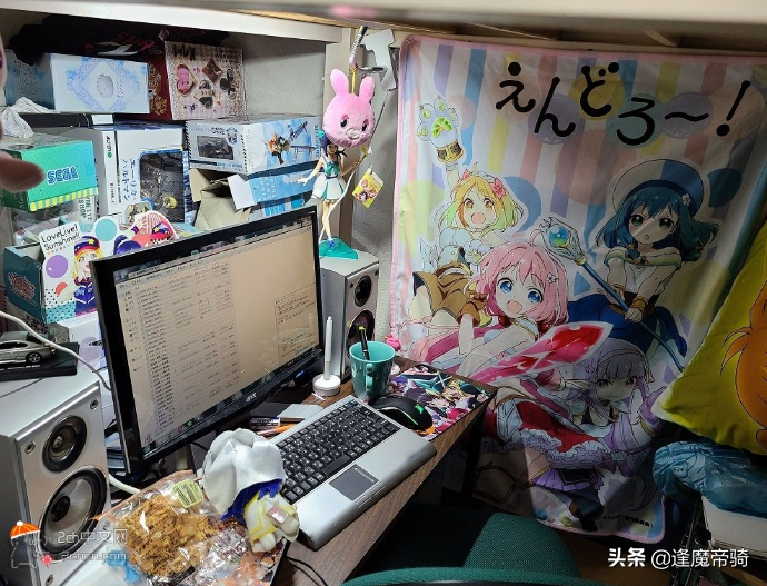 二次元宅女群體增多，為何她們寧願躲屋裡看動漫，也不願談戀愛？