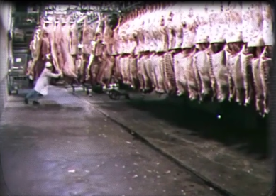 泔水兑牛奶，死老鼠做火腿，近万名儿童死亡，美国食品安全有多差