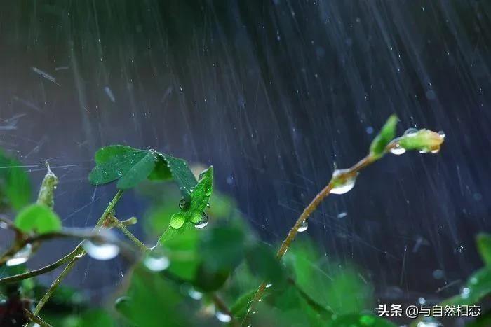 自然的启示——春夜喜雨