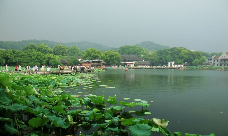 醉美西湖：春夏秋冬，雨雾晴雪，你都能看到西湖不一样的美