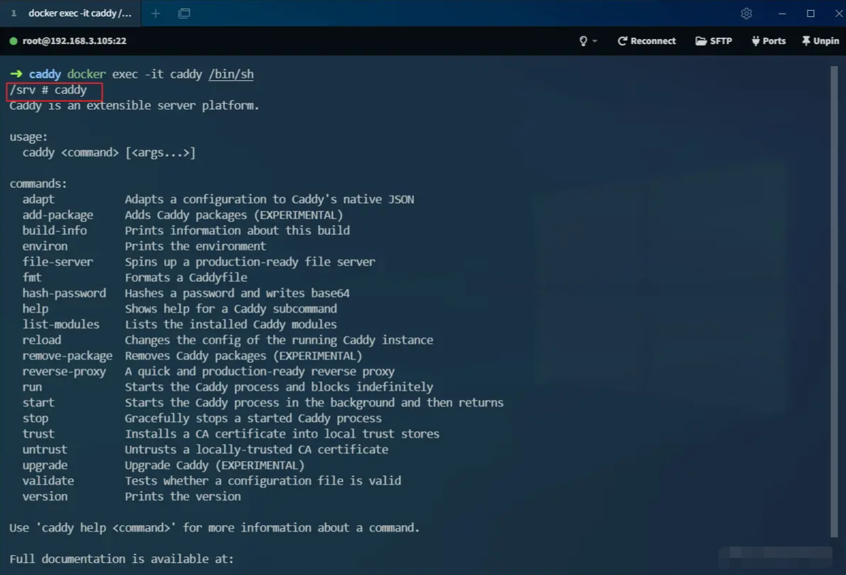超越 Nginx！号称下一代 Web 服务器，用起来够优雅