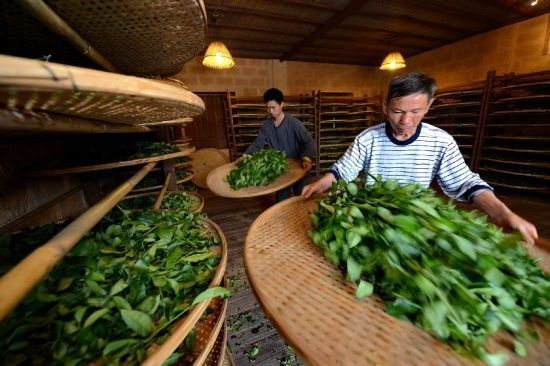 慈禧太后都爱喝的茉莉花茶，一千多年的历史传承