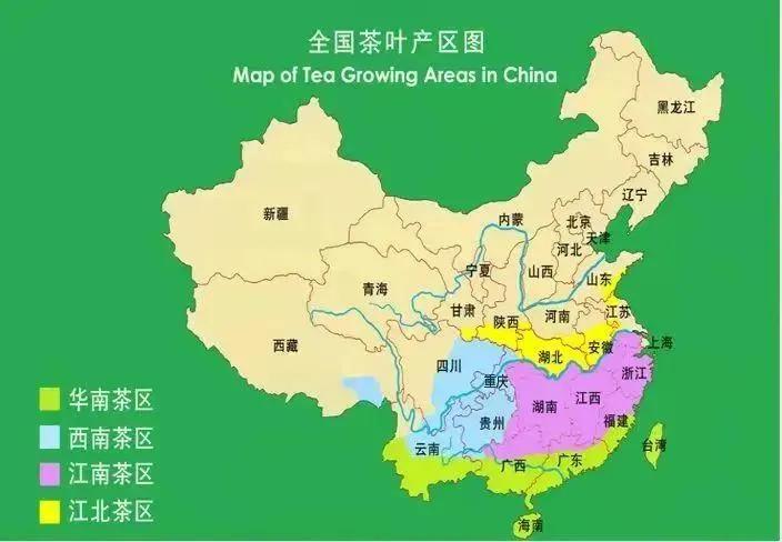 中国茶叶品种大全（茶叶的种类大全及茶叶特点）