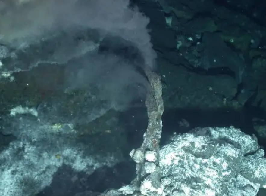 深海中被发现“第四种水”：原来水并非只有固态、液态和气态