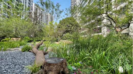 世界水日｜江苏旭辉社区海绵实践分享