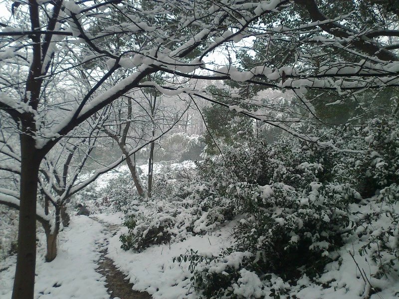 醉美西湖：春夏秋冬，雨雾晴雪，你都能看到西湖不一样的美