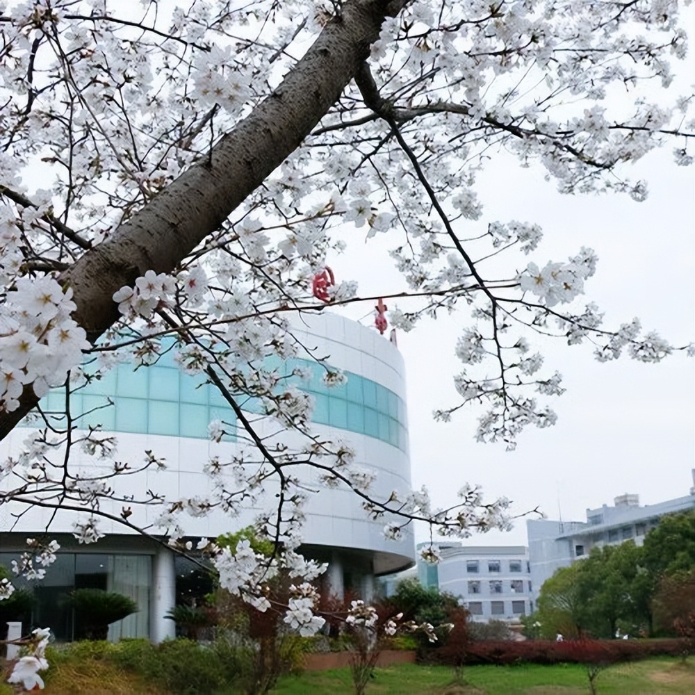 扎根英雄之城！湖北这所大学“工”勋卓越，屡次获国家级表彰