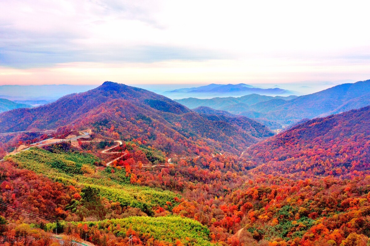 2015年全国高考英语新课标卷（I）选择题命题及答题分析