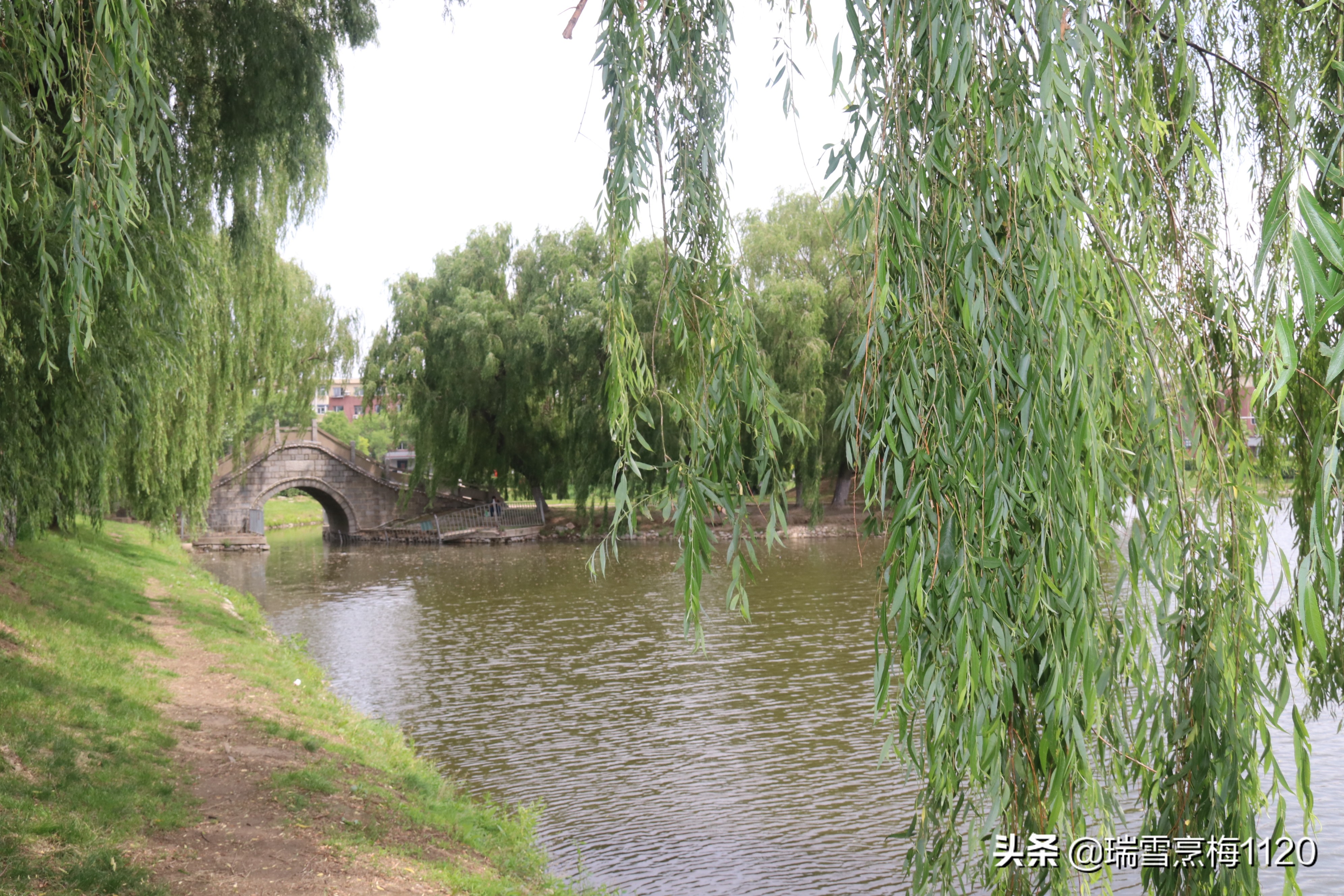 地名档案 | 沈北新区虎石台街道：宁王伏虎之地