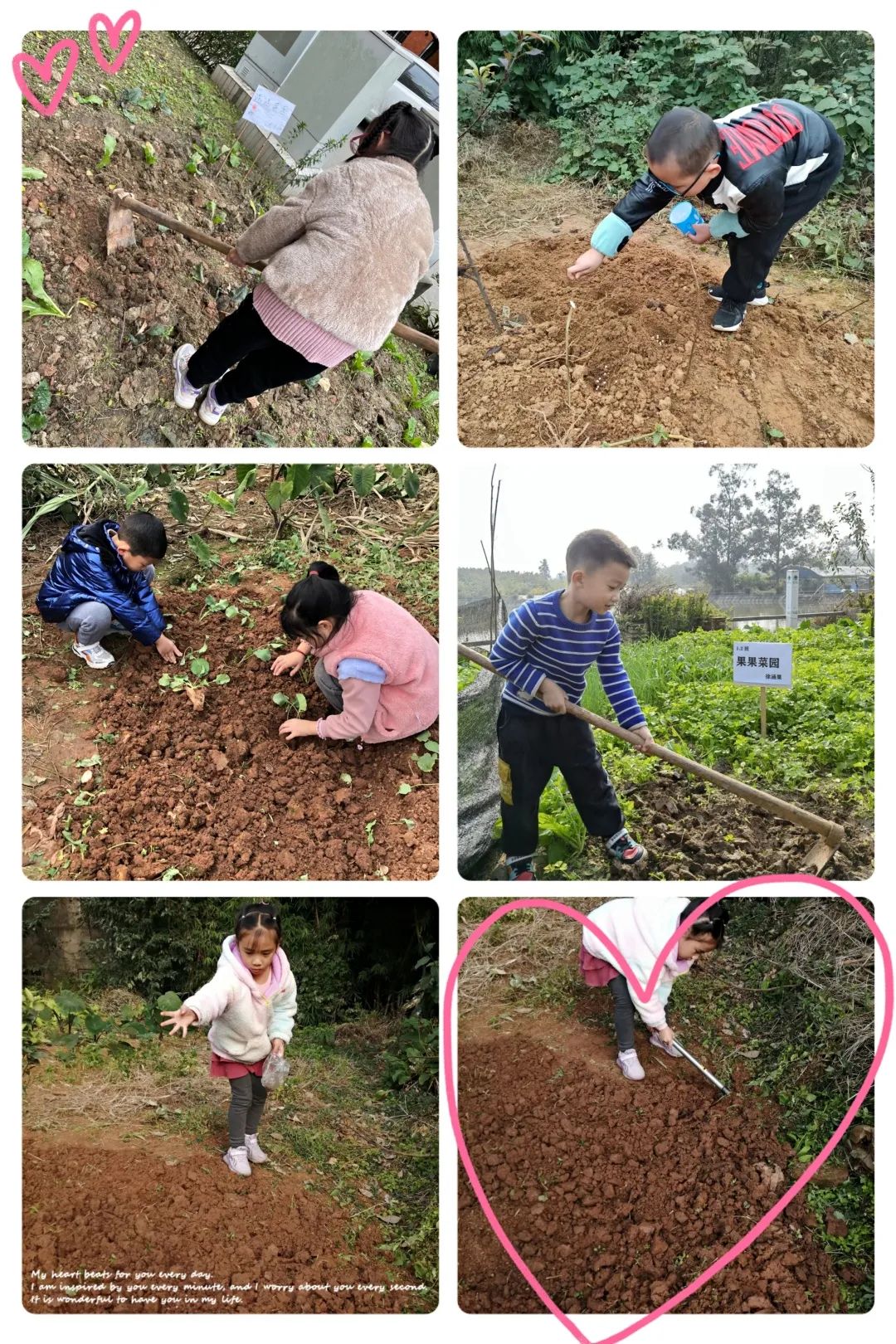 以劳动之名 收获成长之乐｜新兴小学开展“小农夫”劳动教育课程