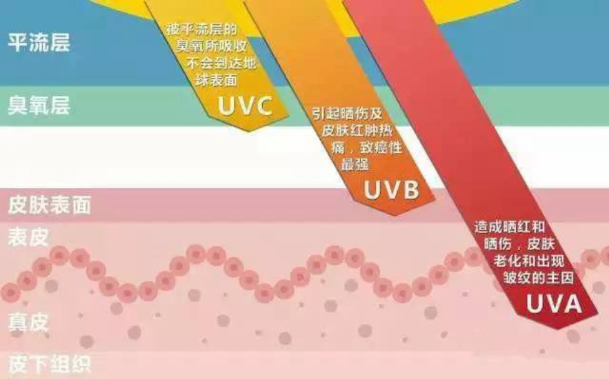 ˷أӺ1400ˮȫʬֻܷǦ