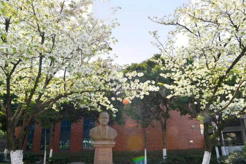 成都这所高校“火了”！食宿配置豪华，拥有绝美风光，学生幸福感爆棚！