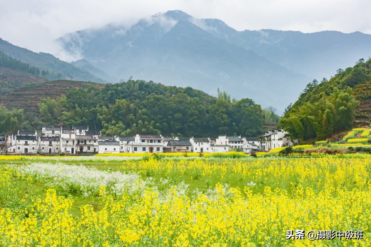 如何拍油菜花？死记这3个拍摄技巧，摄影新手也能拍好