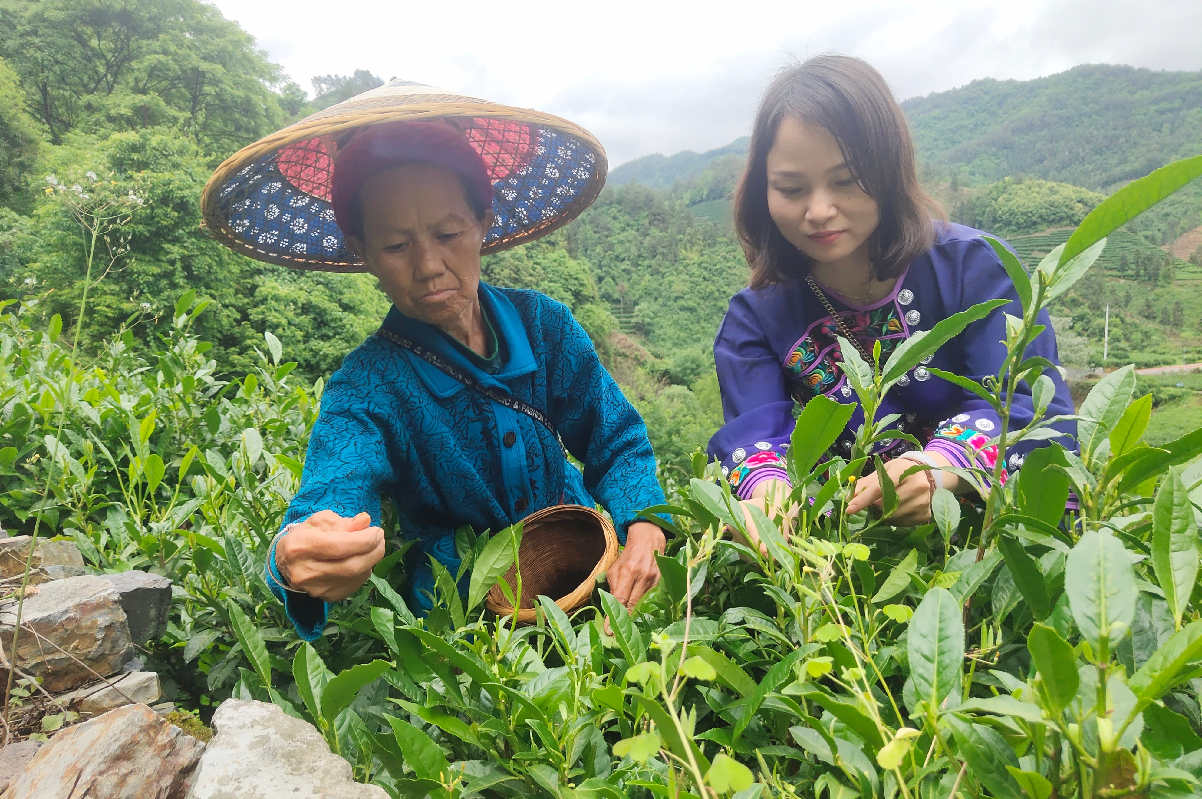 走进湘西保靖县领略迷人的风采