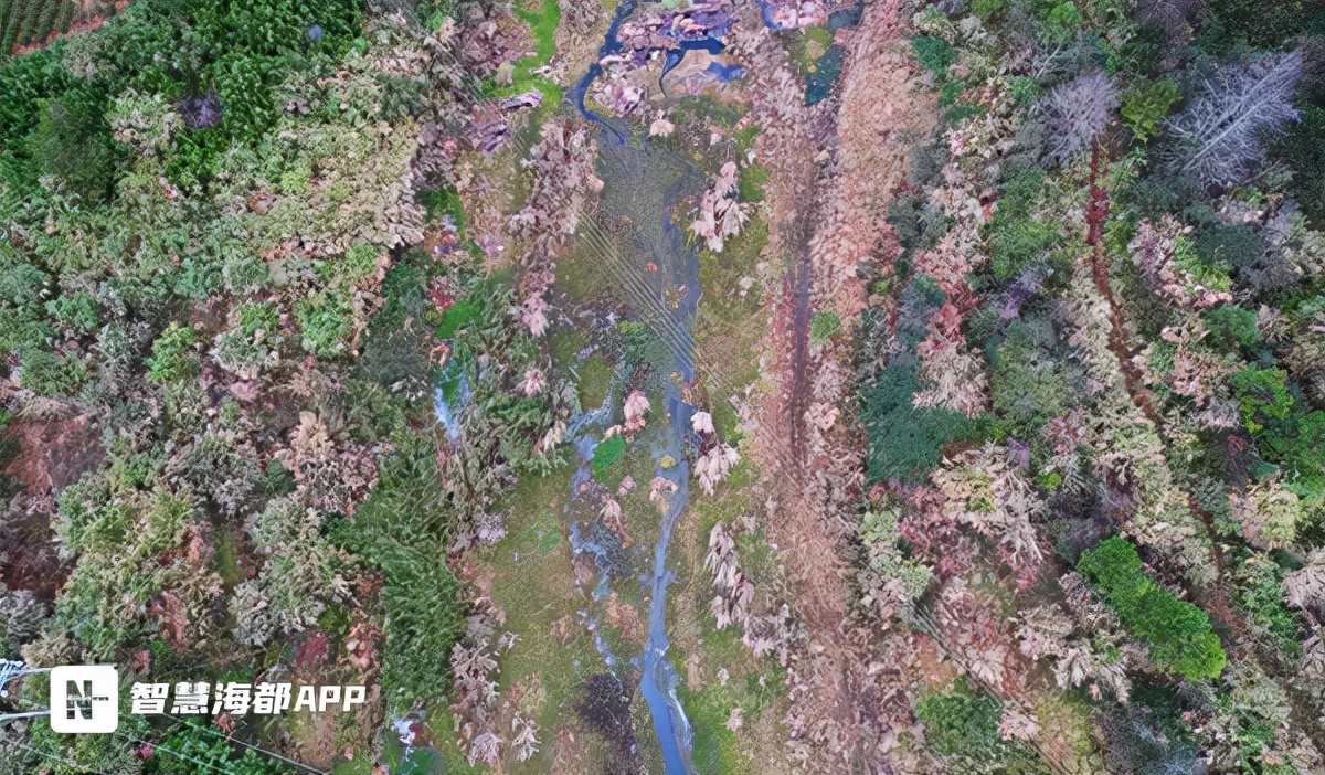 触目惊心！宁德多个水电站断流发电，河道生态遭严重破坏