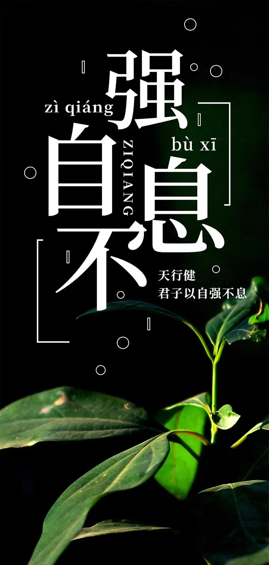 「2021.11.26」早安心语，正能量走心语录文案冬天早上好说说图片