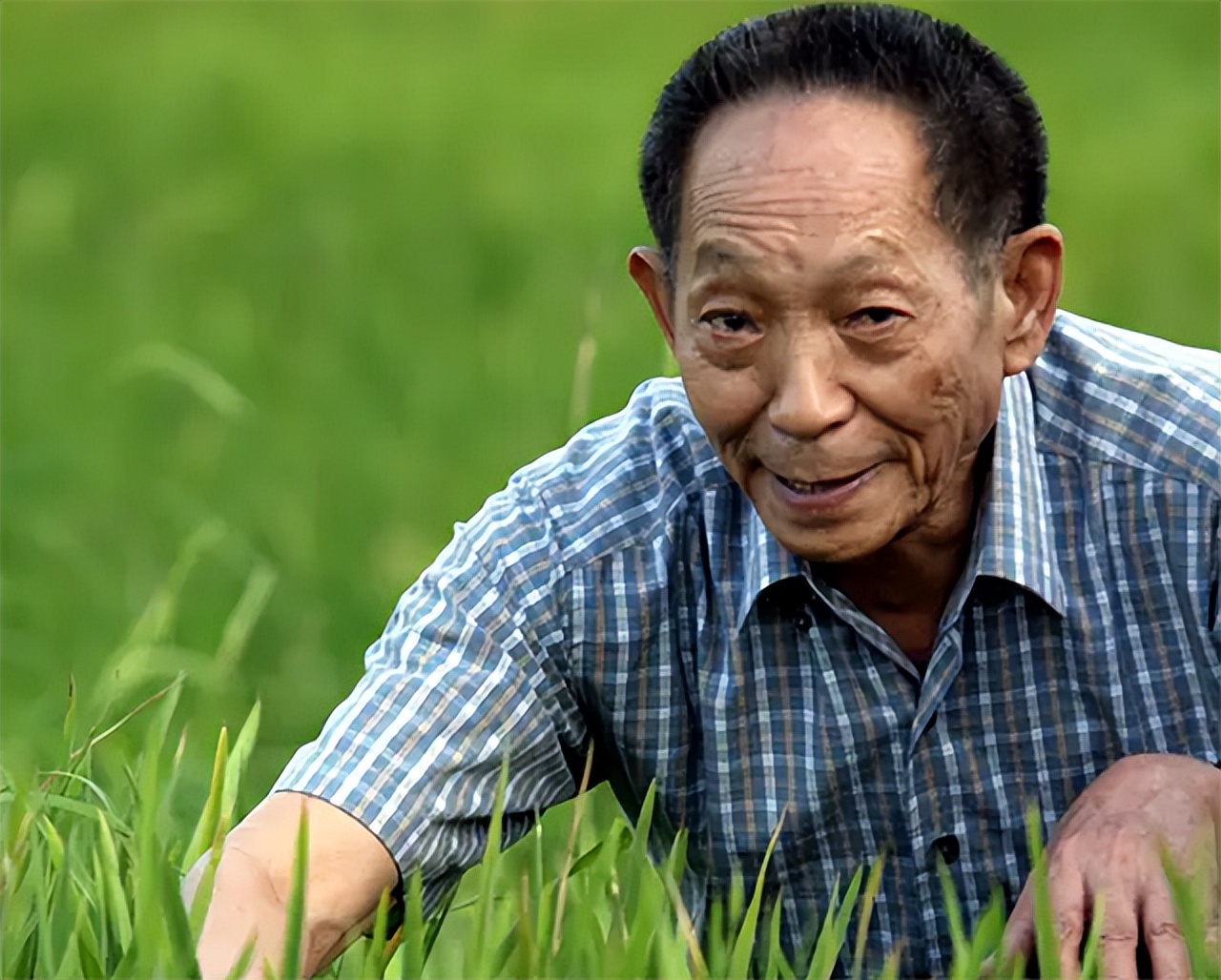 90年袁隆平小儿子高考填报农业专业,袁老:做这一行别想升官发财-热门