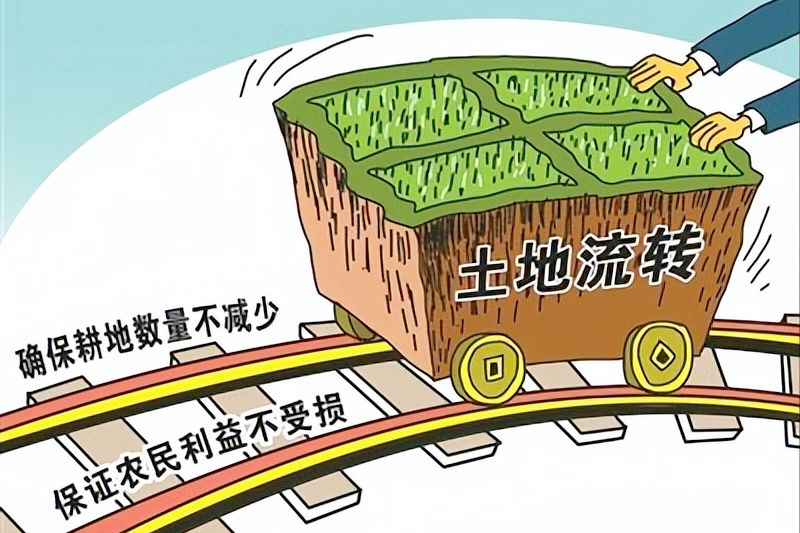 陜西糧補(bǔ)每畝地補(bǔ)貼多少？不同的地方不一樣，正常申領(lǐng)即可