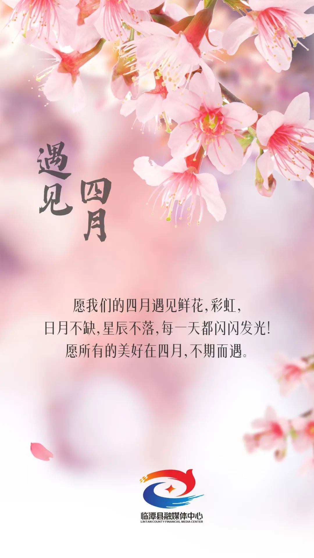 四月你好丨春暖花开、奔你而来
