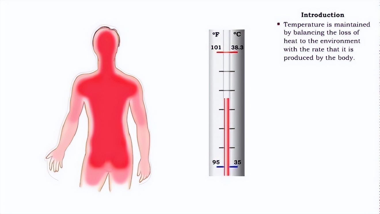 美国研究：37℃不再是人体标准体温？体温是低了好，还是高了好？