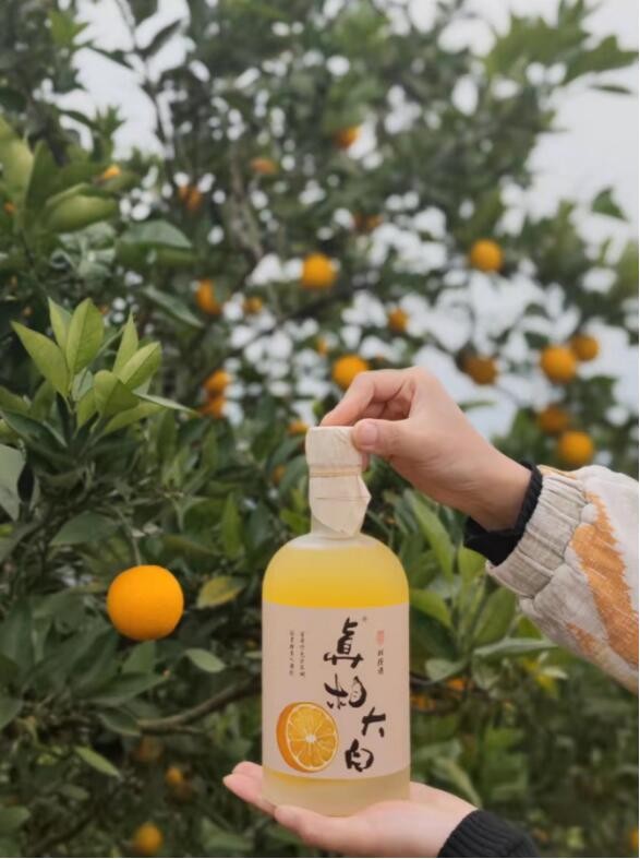 四川00后女企业家，创立酒类品牌，获政府大力支持！毕业于双一流名校！