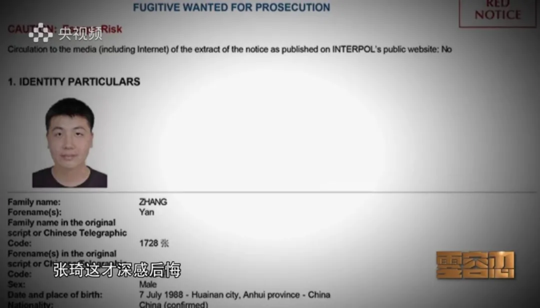 首次披露！落马前安排儿子出逃，“海南虎”张琦之子名列“红通”