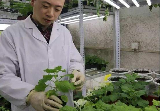 仅仅20年时间，这所985就从曾经的“顶流”，变成现在的“末流”