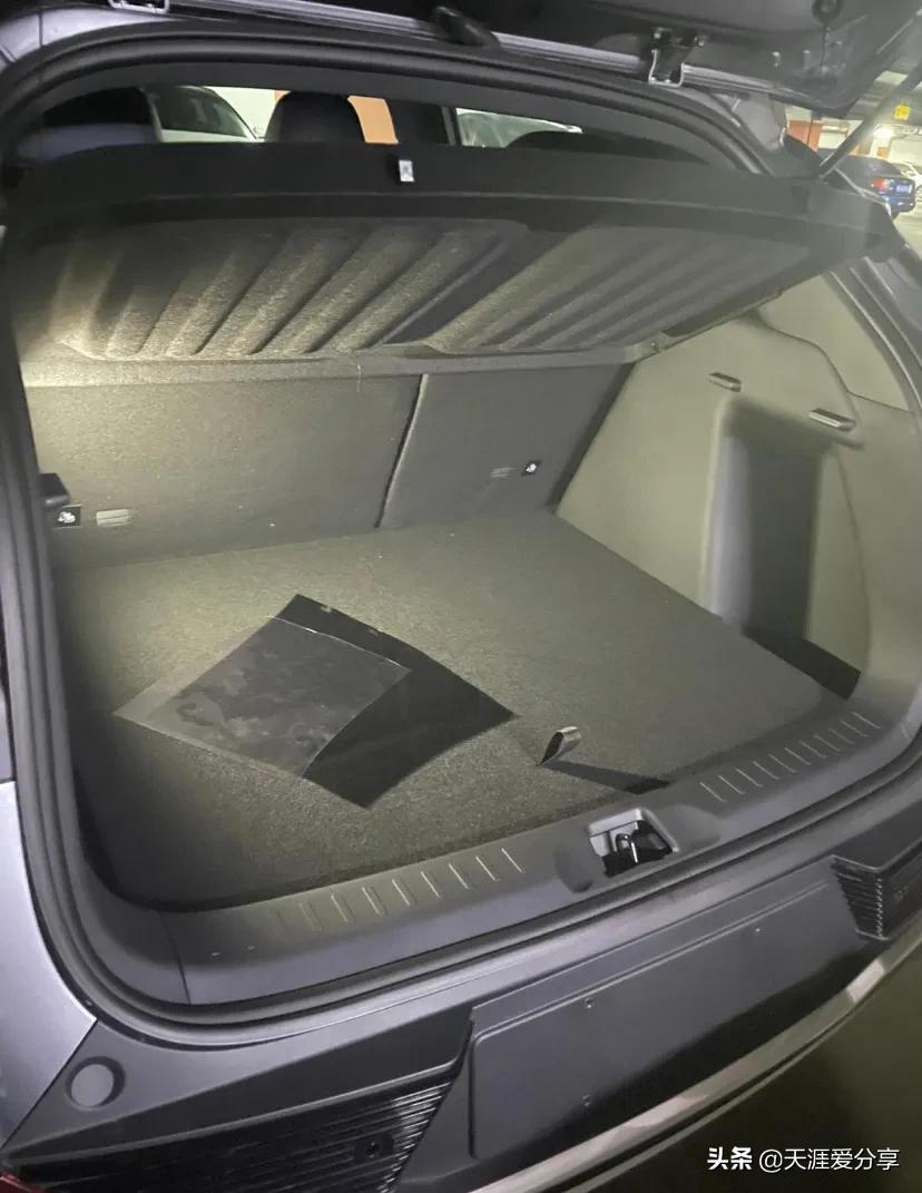 元Plus，车主真实评价：国货之光