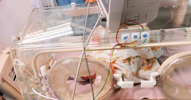 关喆的完美人生！当人民教师，娶葡萄牙老婆生三胎，妻子身份高贵