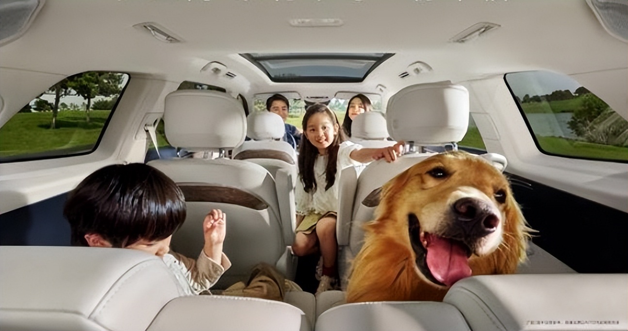 新能源汽车如何选？我来说一说