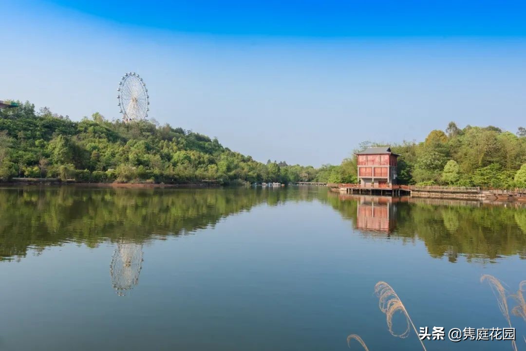 一个小院，花开四季，云淡风轻