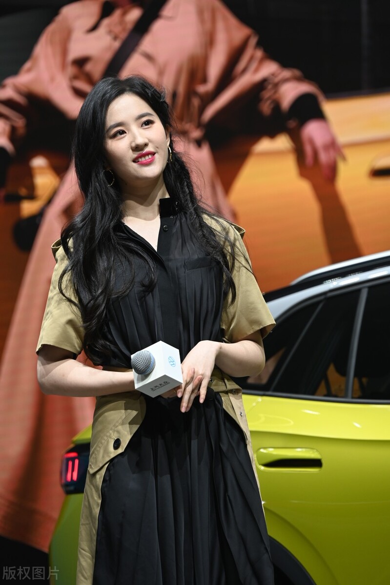 高颜值人类刘亦菲